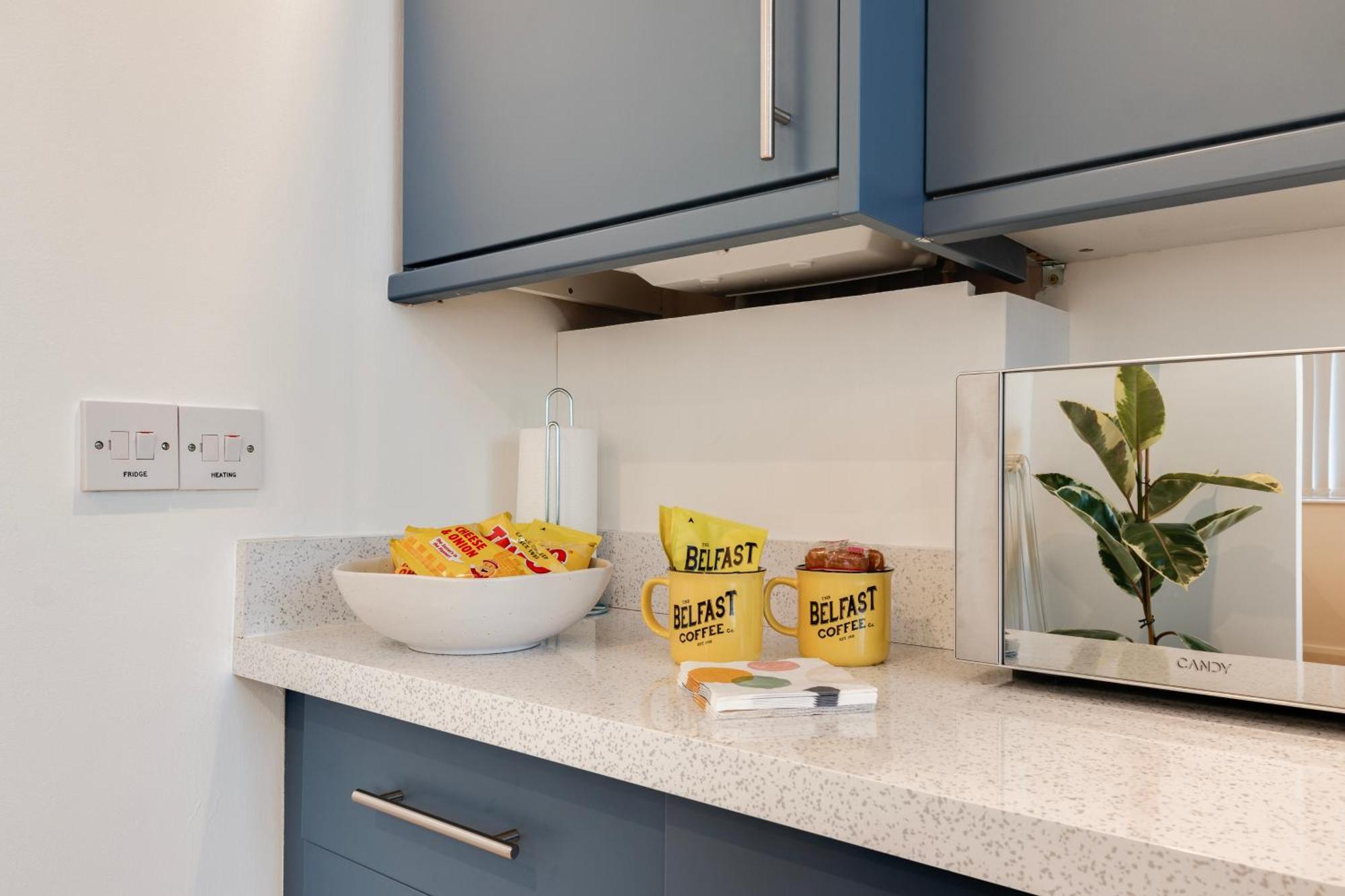 Cherryville Street Apartment Белфаст Екстериор снимка